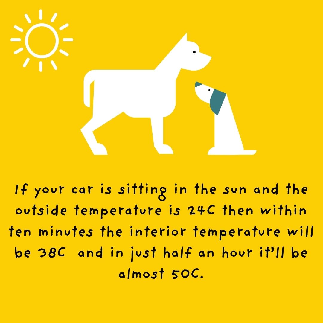 planetunderdog tweet media