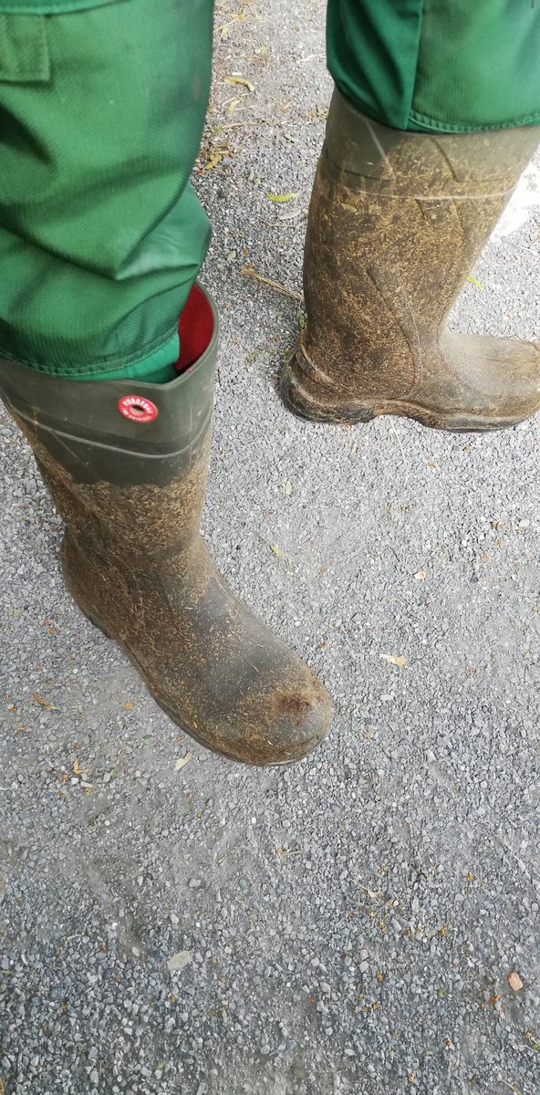 bauernbursche01🏳️‍🌈🇩🇪🇬🇧🇳🇿 (@bauernbursche01) on Twitter photo 