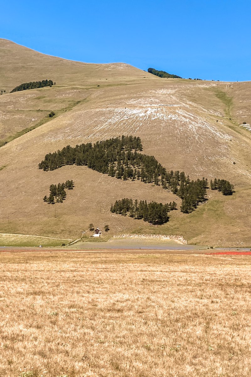 Ci sono luoghi che ti entrano dentro e lì ci restano ❤️. #castellucciodinorcia #fiorituracastelluccio #lenticchie <a href="/castellucciopg/">Castelluccio Norcia</a> <a href="/UmbriaTourism/">Umbria Tourism</a> <a href="/RegioneUmbria/">Regione Umbria</a> <a href="/Italia_Turismo_/">Italia Turismo</a>