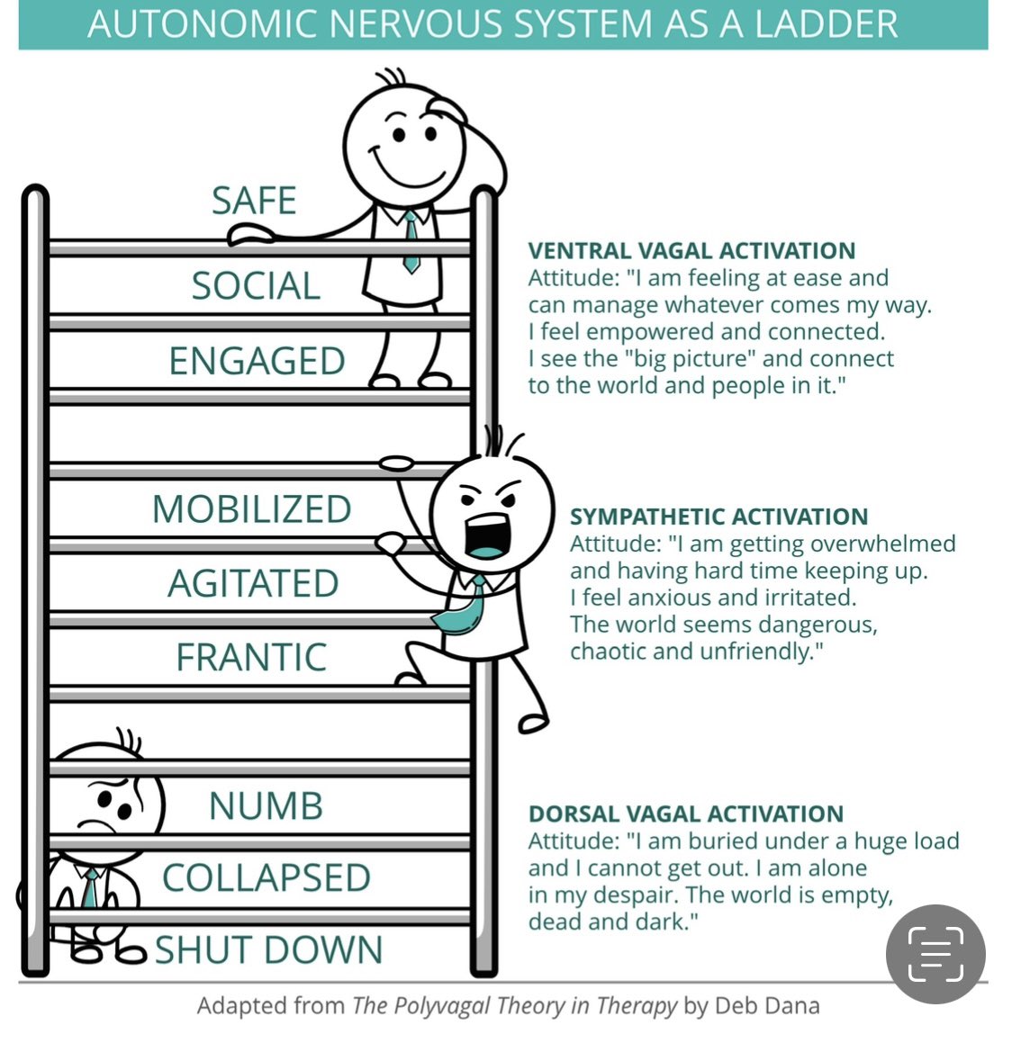 Trauma informed is non judgemental on every level 

As it embodies a true deep acceptance and belief that a child will always be doing the best their autonomic nervous system allows them to in any given moment #Trauma #traumainformed #nervoussystem #Debdana