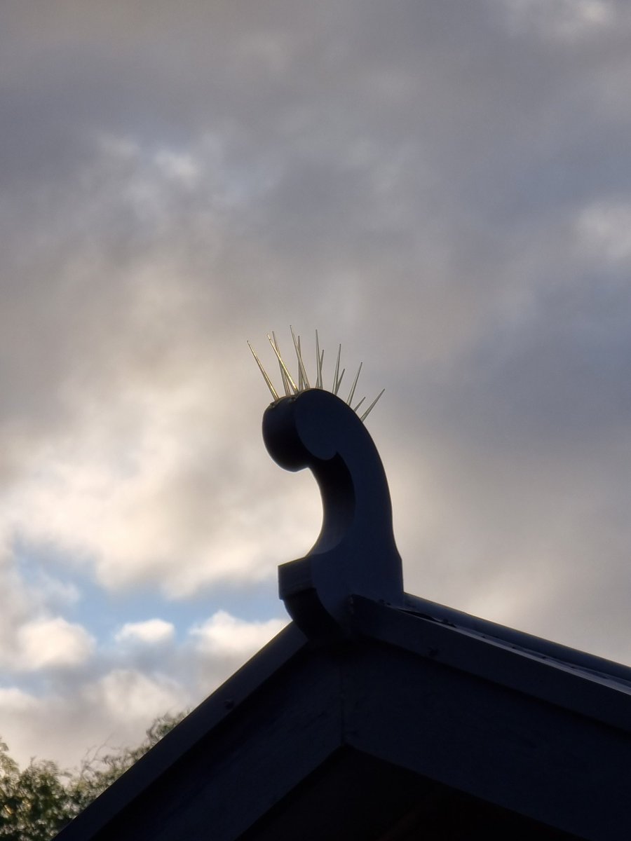 UniAstro1369's tweet photo. Pretty soon you start seeing Mohawks everywhere. #mohawktakeover #brohawk #DCC #wealldegens #BTC #ETH https://t.co/vEyVWEhb31