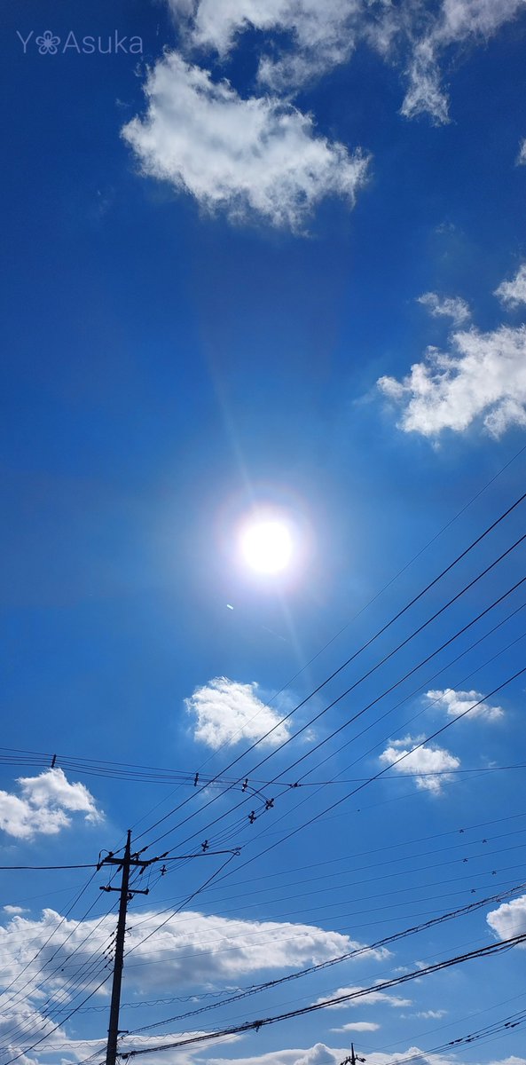 yumeasutw's tweet photo. 夏空💙
お日様ギラギラ✨☀️✨
午前中は🌬️北寄りの風が涼しくて気持ちが良かったけれど、
午後になってお日様パワー全開⤴️⤴️
只今の気温🌡️31℃
日差しが強く暑いです☀️😵💦
#イマソラ #いまそら
#空の名前
#空の名前
#天気の図鑑 #雲友
#青空 #sunshine
#a2022 #a0708 #a202207 #a2022072 https://t.co/Ww27JKrS5T