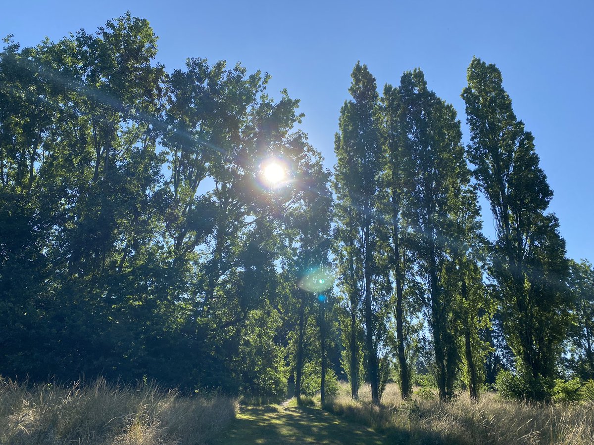 Jannine Perryman (She/her) tweet media