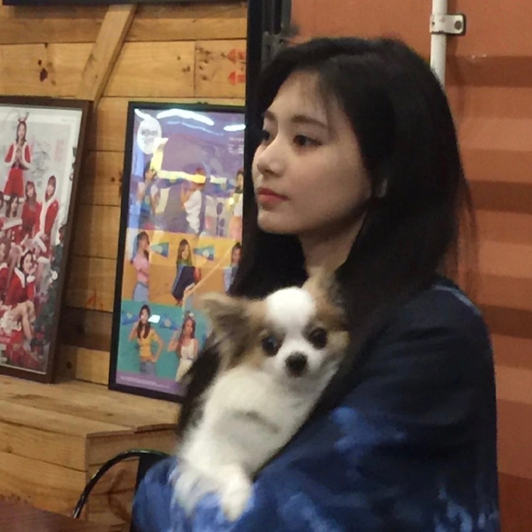 ueyhsba's tweet photo. Hug the puppy, ask for attention, and be sure to turn back
#互关 #互粉 https://t.co/D9nRukTfS2