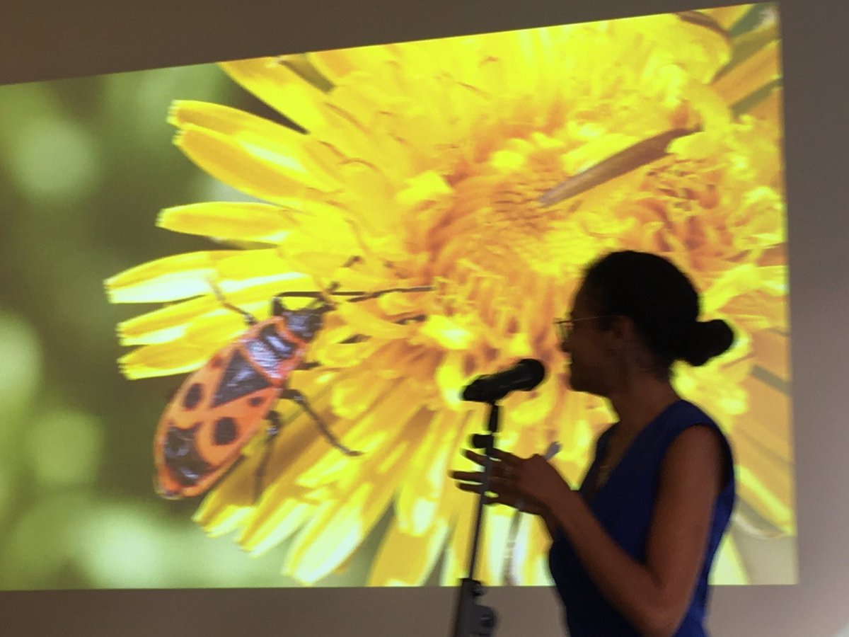 Great evening of talks and provocations <a href="/PKNLDN/">PechaKucha London</a> on Action! 

Some highlights…