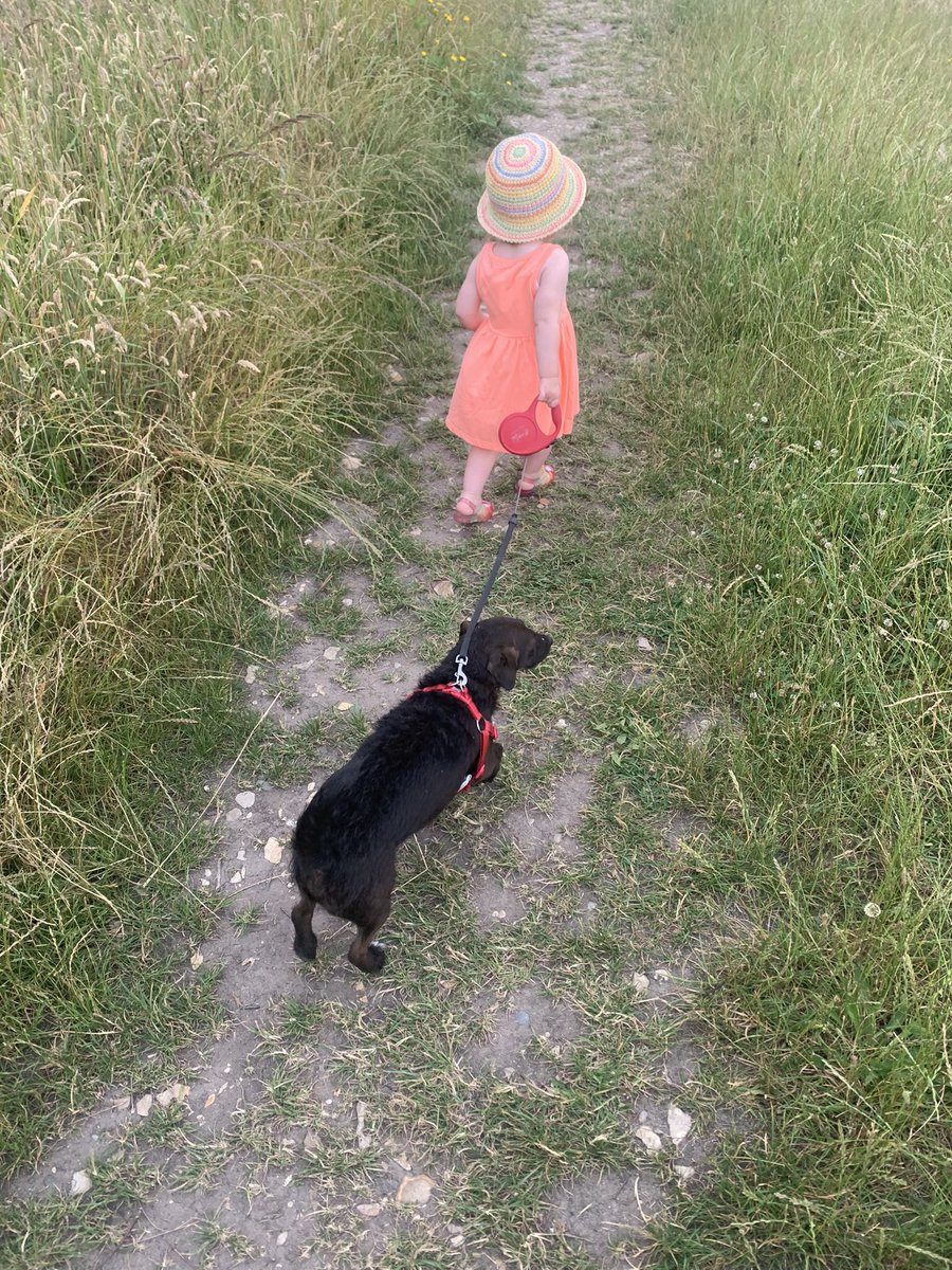 #followbackfriday #ByeBoris #ToryShambles #GeneralElectionNow life is hard right now! But here’s my 1 year old walking our dog. ❤️
