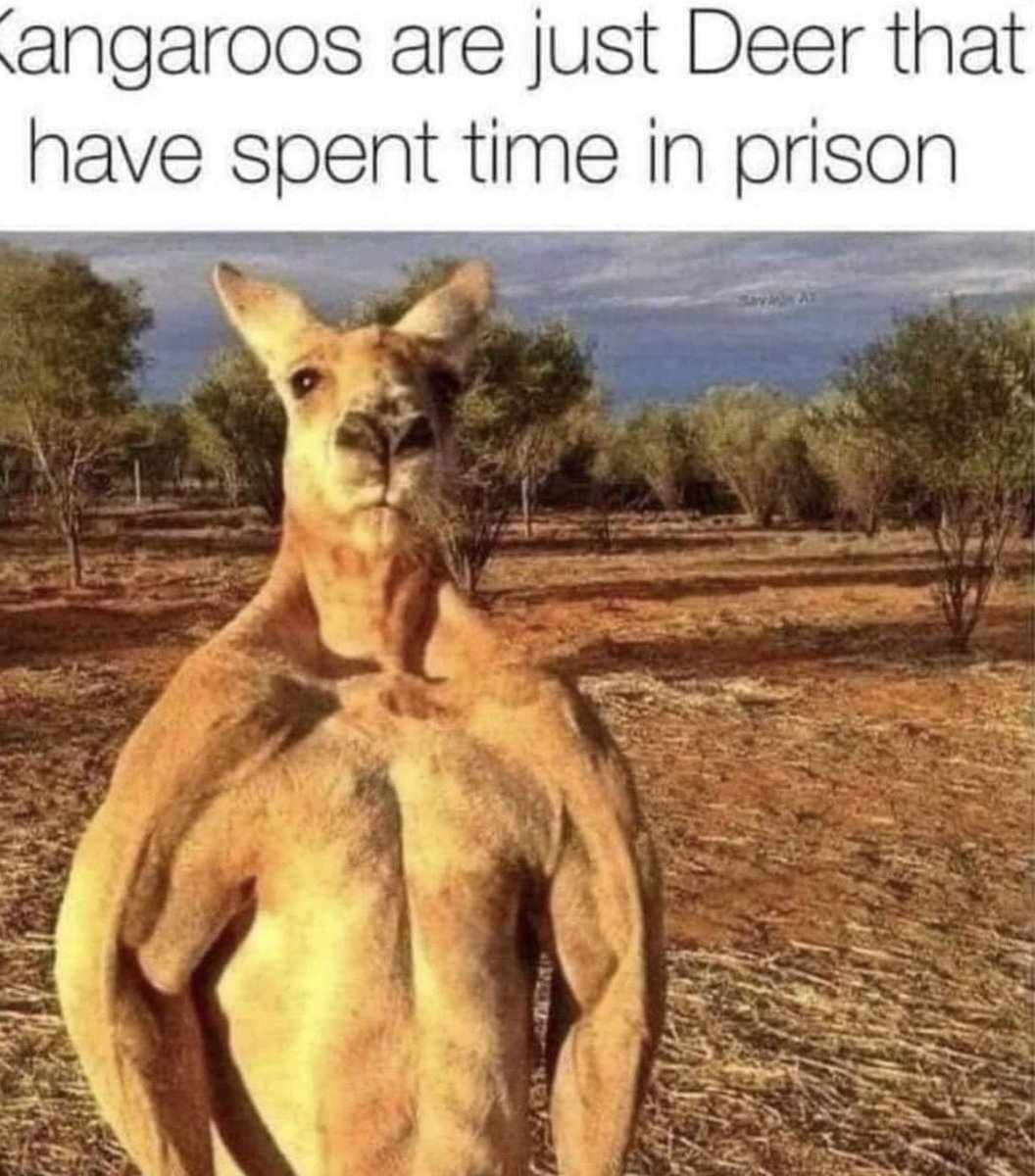 Have a good weekend…