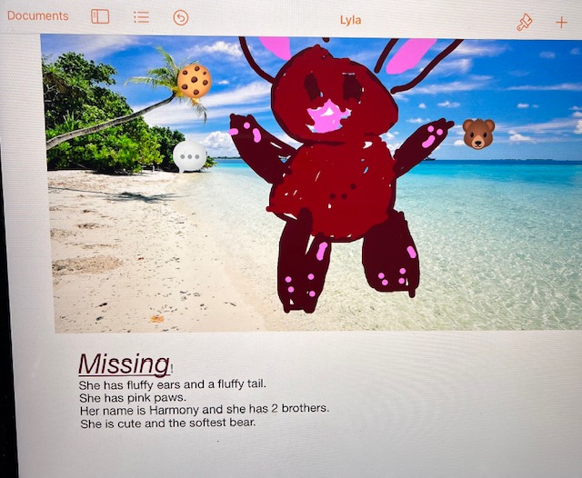 NewBrightonPS's tweet photo. Class 3 created some great missing posters in their computing lesson yesterday! #NBPSComputing ๐ป @WeAreComputing https://t.co/E8cowR0nLp
