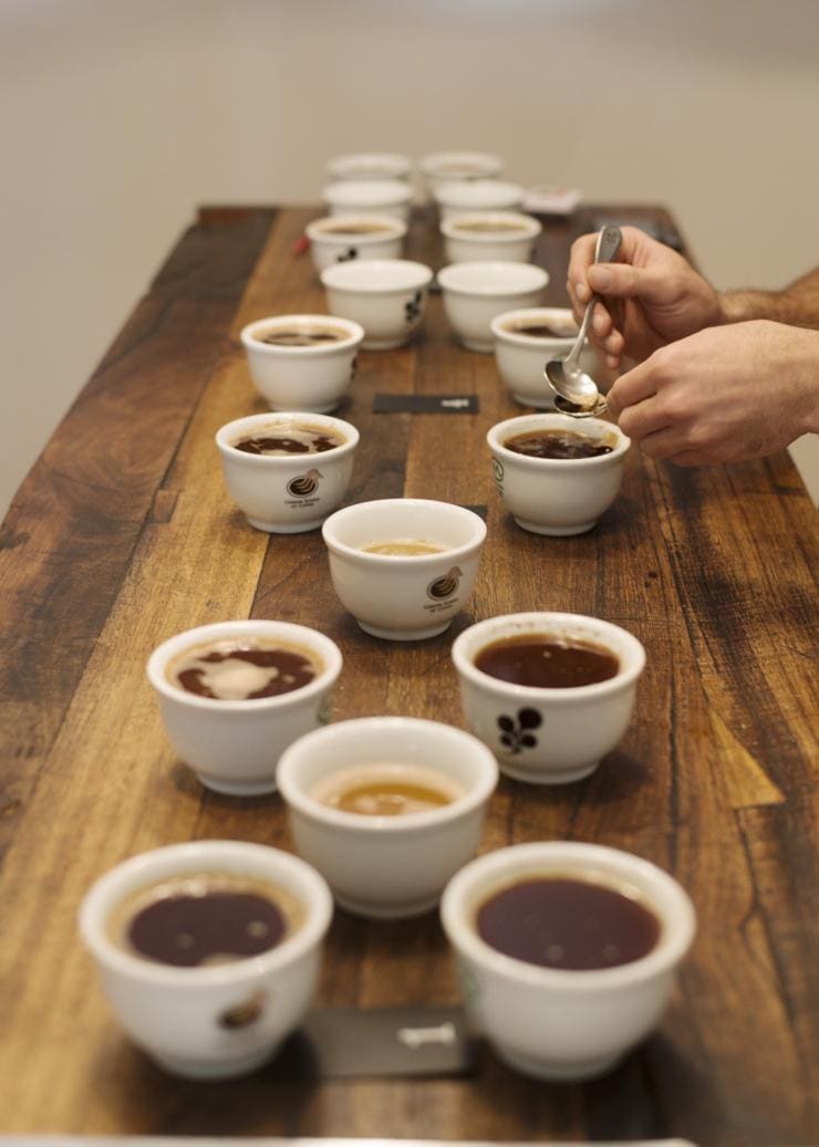 MaximusCampers's tweet photo. MELBOURNE'S BEST COFFEE SHOPS!
Market Lane's #roastery & #cafΓ© at #PrahranMarket
is proud of its distinctive #singleorigincoffees.
#Espresso & #pourovercoffee is served alongside #cakes #pastries #muesli & more. It sells #singleestate #coffeebeans & #brewingequipment. https://t.co/Ycp80OL062