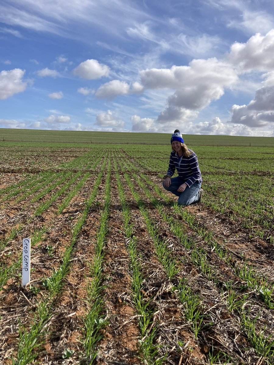 AgXtra's tweet image. After a very late break, the AgXtra Crop Competition sites are out of the ground! 🌱
We are continuously grateful for SAGIT’s ongoing support so we can provide this opportunity to the next Gen coming through 👨🏻‍🌾

#cropcomp #agxtra #ausag #SAGIT #youngfarmers