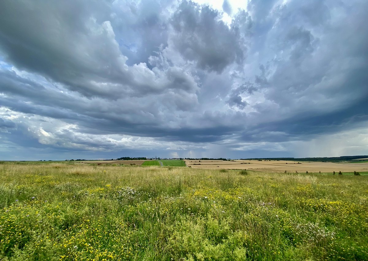 Ri315e's tweet image. #frontlinefriday
Where are we today?