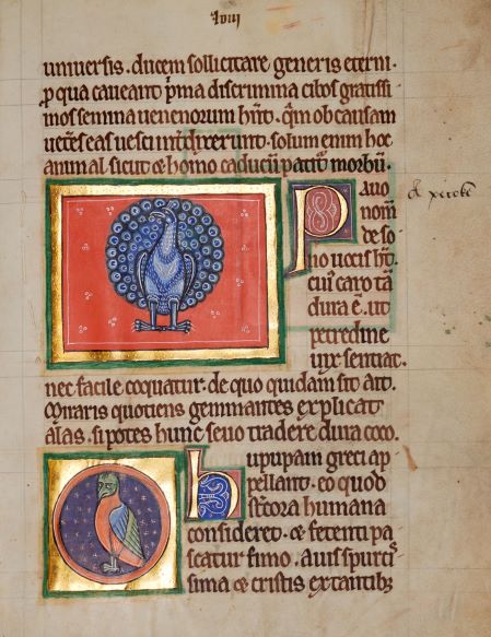 StJohnsOxLib's tweet photo. **VACANCY**

We are looking for a Special Collections Photographer to join @StJohnsOx's library team. This is an exciting new role connected to our Digitisation Project. Find out more at https://t.co/WQBsvtBcz0. 

#manuscripts #lisjobs #library #libraryjobsuk https://t.co/4BuFzBwnud