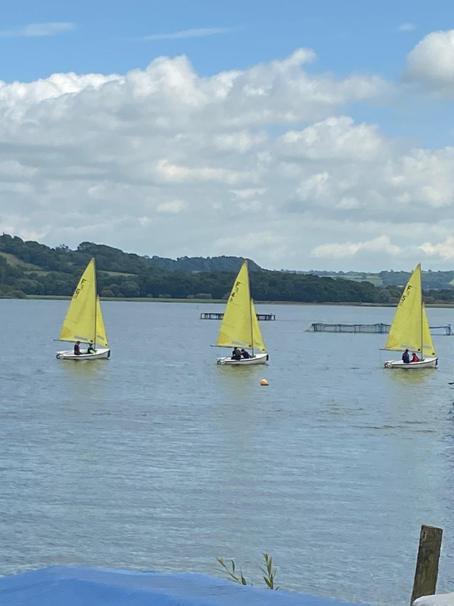 SpedeSailing tweet media