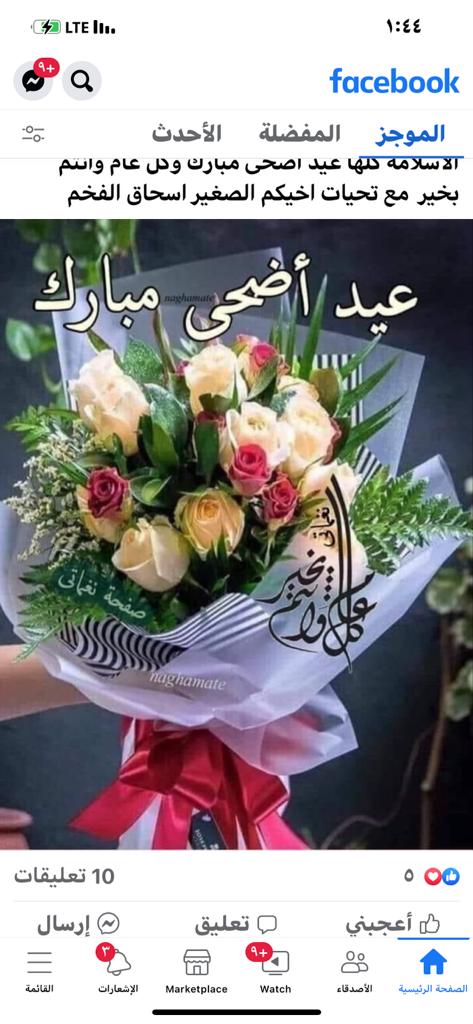 الطير المهاجر (@muntaser125mun1) on Twitter photo 