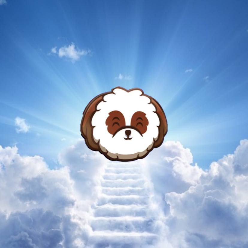 <a href="/bitcoinarchive/"></a> <a href="/SHINUtokenbsc/">SHINU</a> Epic Reversal Incoming🐶🚀

$SHINU is Ready to Take Off🔥

Elon's Wifey's Fav #memecoin 

#Shinu #ShinuArmy #BSC