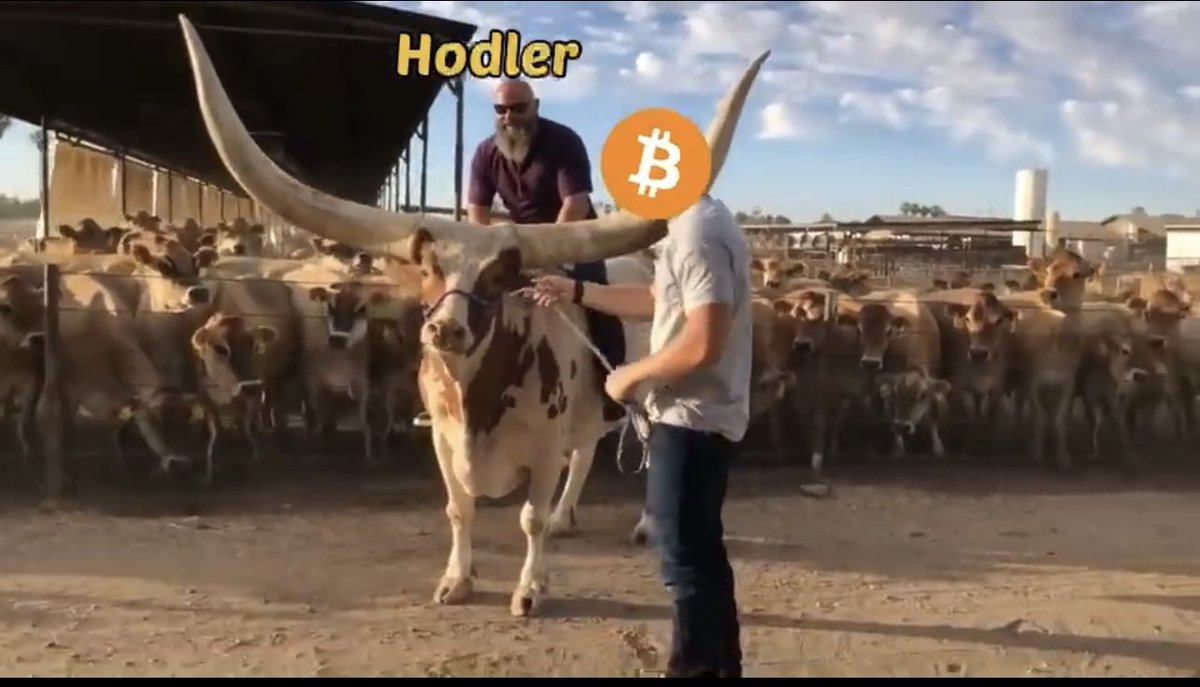 Arut Nazaryan tweet media