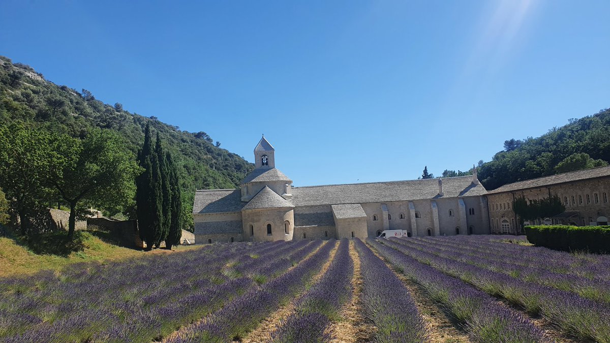 July020110's tweet photo. Le symbole de la Provence en été : les lavandes 🤩💜
#luberon #abbayedesenanque https://t.co/fClIvgEh0V