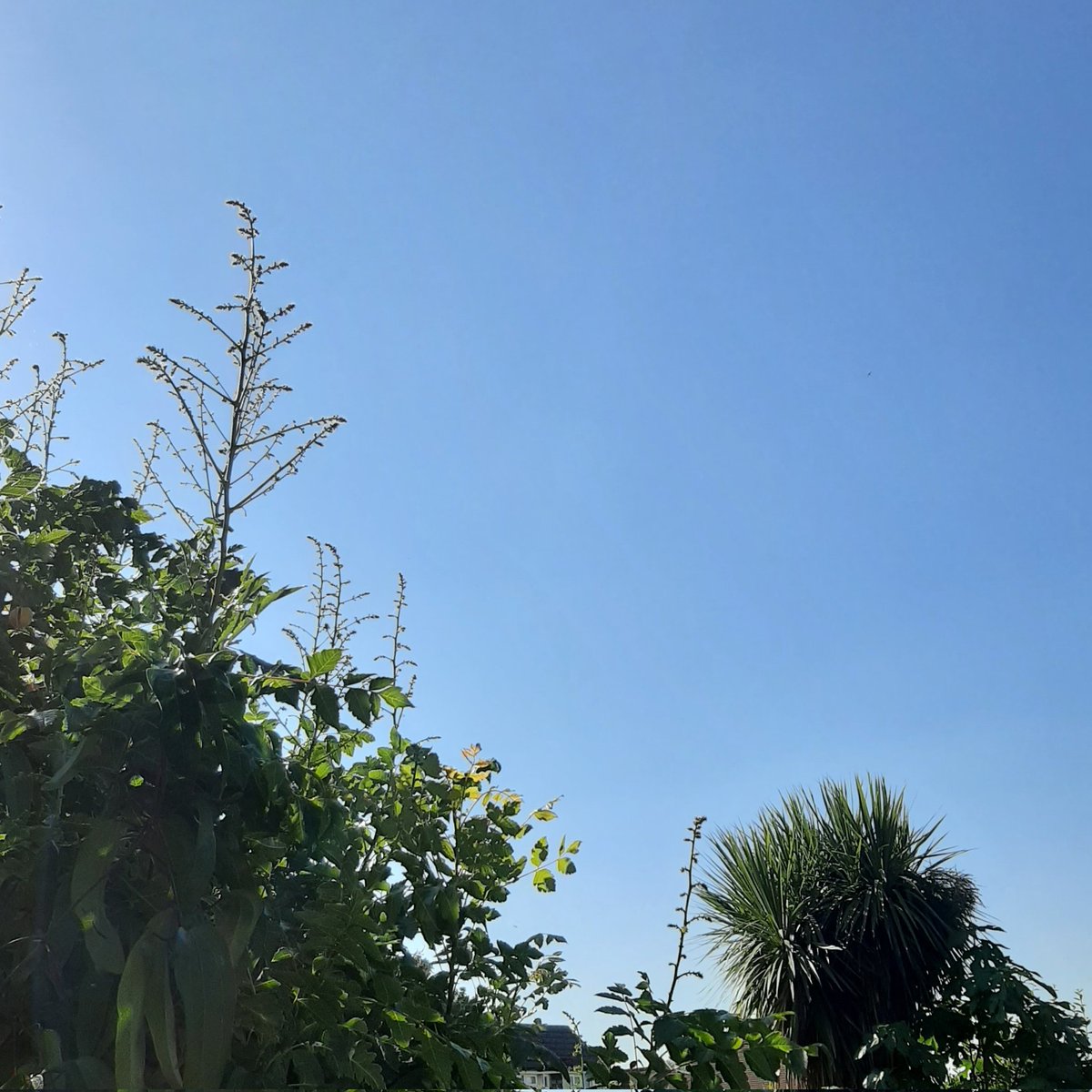 It's gonna be a bright, bright
Bright, bright, sunshiny day 🌞

#HappyFriday