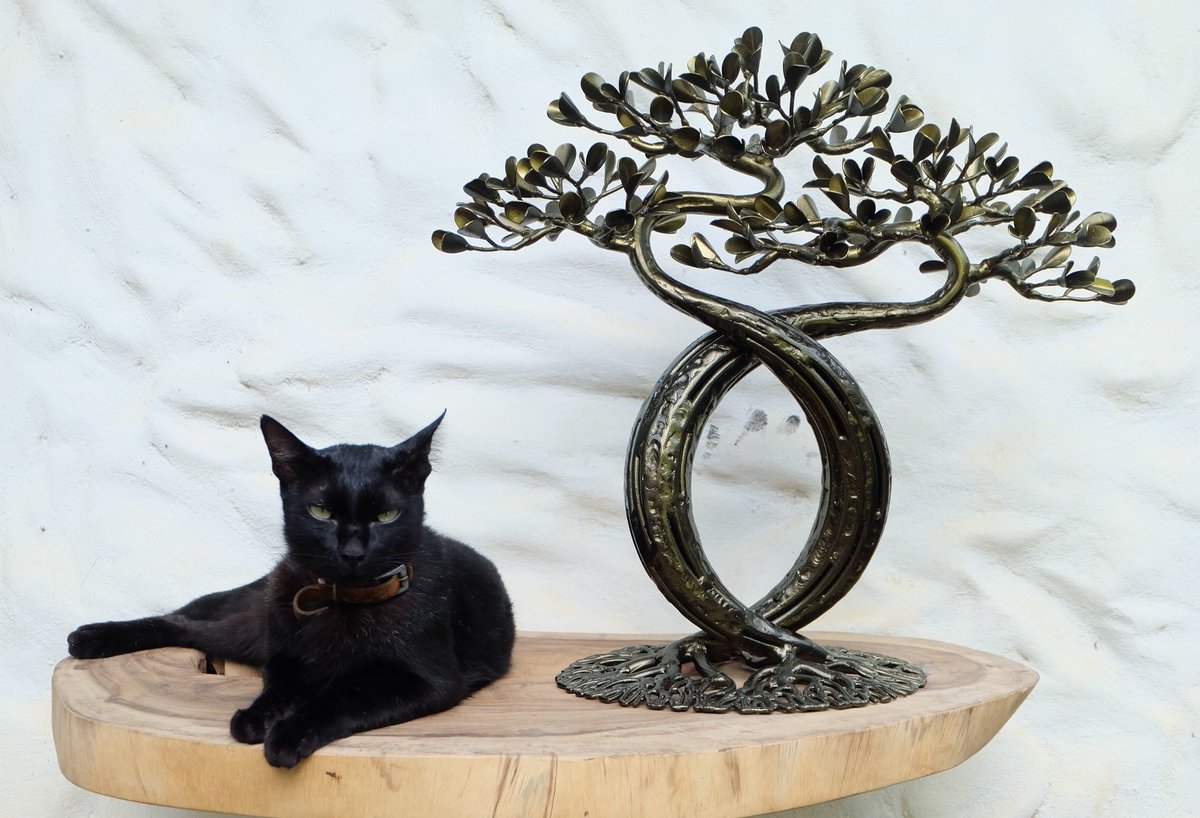 SoftasMetal's tweet photo. Title : Entwine
Date : 20 June 2022
Dimesion : H.50 W.​50 H.25 cm.
Material : Steel​ Welding
#Art #Design #lronArt #MetalArt #SteelArt #IronWork #Drawing #Welding #Sculpture #Tree #Handmade #Bonsai #IronTree #IronFlowers #Souvenir #ประติมากรรม #ศิลปะ #งานเหล็ก #บอนไซ​ #ต้นไม้ https://t.co/hGg0tJbsbA