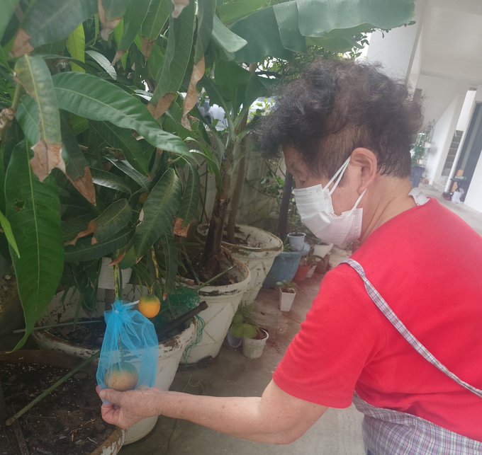 Zizizi666さんのイラストまとめ