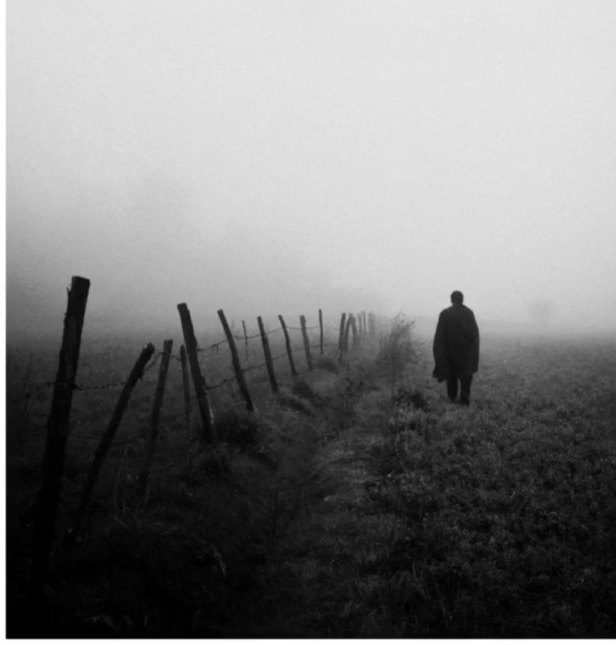 “Ölünüyor, hasret çekiliyor, yaşanıyor, velhasıl 

VELHASIL HAYAT AKIP GİDİYOR!..”

Nazım Hikmet