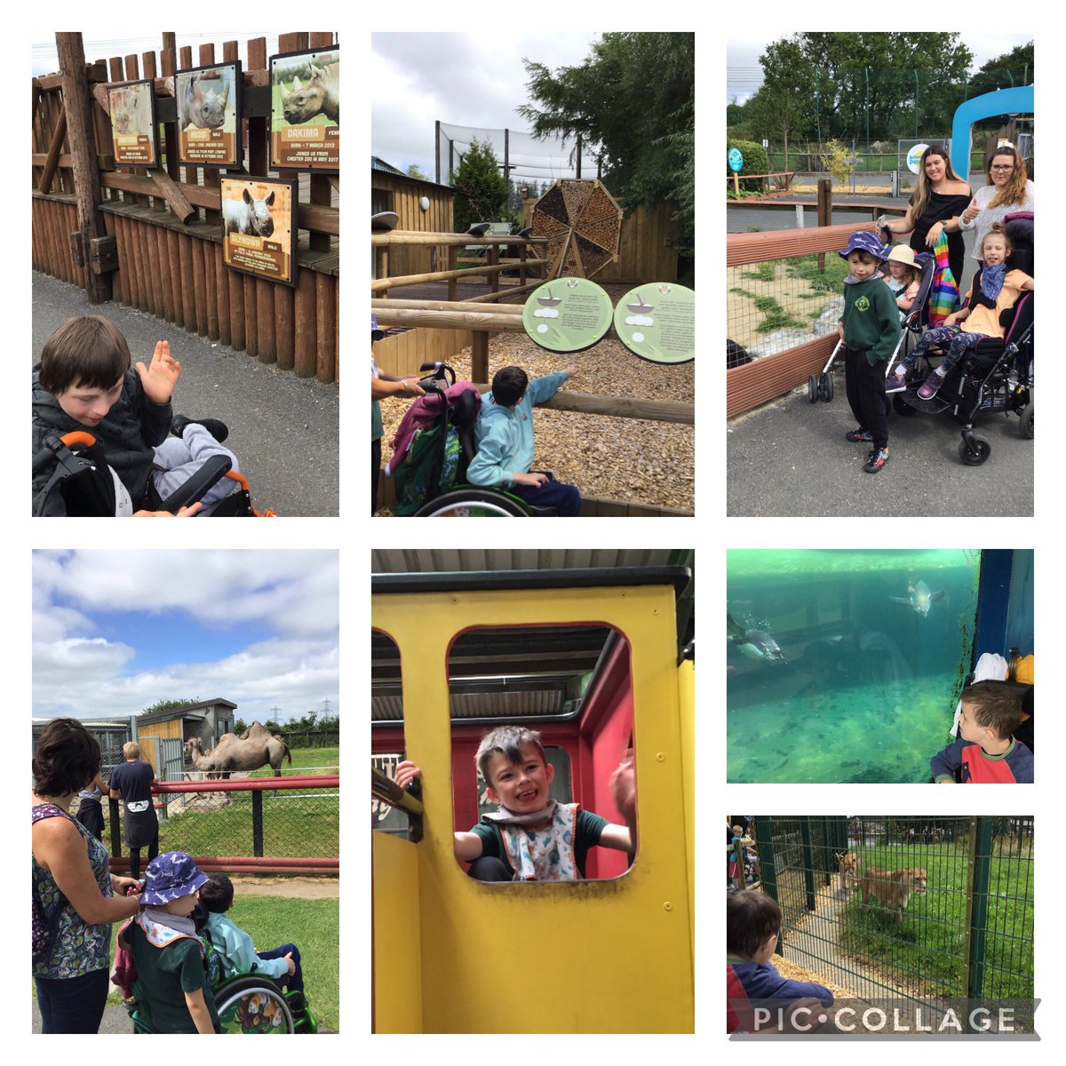 PenllergaerP's tweet photo. So much to see and do on our visit @FollyFarmWales ๐#PPSPmld https://t.co/vl7Bc5vohB