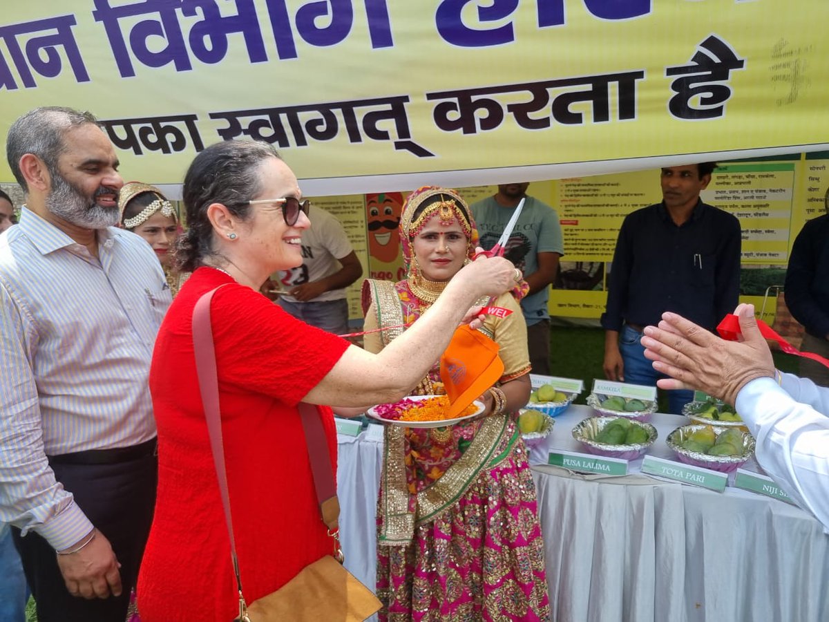 IsraelinIndia's tweet image. DCM @RonyYedidia attended the inaugural ceremony of the #MangoMela 🥭 at Yadavindra Gardens, Pinjore in Haryana. 

She was delighted to see and try the varieties of #mangoes and related products and the vibrant cultural activities.