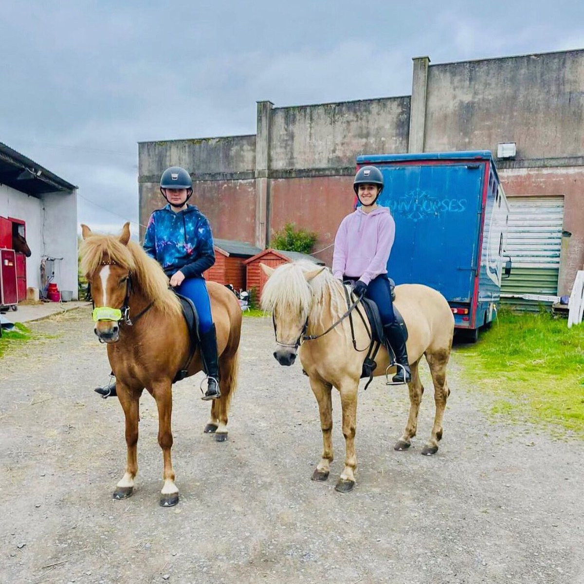 CICVIATGES's tweet photo. Horse riding in Ireland 🐴💚

#irreand #horseriding #fun #travel https://t.co/EOWGwZoBmW