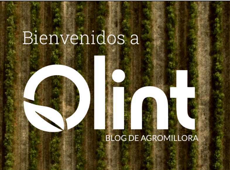 Agromillora_'s tweet photo. ¡No te pierdas ninguna noticia!⚡
🗣️Como cada viernes, hoy salen las 'Últimas Tendencias Agrícolas' en la NewsLetter del #BlogOlint🌐
✅@DemoAlmendro, #ViverosHernandorena, @seipasa, @SONEAima y @synergynuts
📝Suscribirse:
https://t.co/eDgwbtiiBO https://t.co/vxb8HWH6Pk