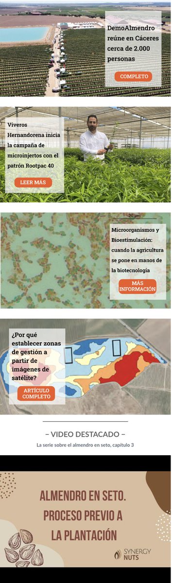 Agromillora_'s tweet photo. ¡No te pierdas ninguna noticia!⚡
🗣️Como cada viernes, hoy salen las 'Últimas Tendencias Agrícolas' en la NewsLetter del #BlogOlint🌐
✅@DemoAlmendro, #ViverosHernandorena, @seipasa, @SONEAima y @synergynuts
📝Suscribirse:
https://t.co/eDgwbtiiBO https://t.co/vxb8HWH6Pk