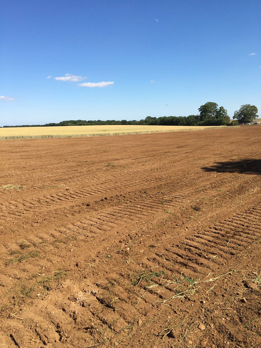 Yesterday was a beautiful day to be out inspecting a site following a significant infrastructure project

#infrastructure
#farmland
#trustedadvisor