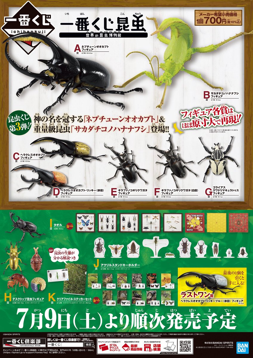 一番くじ昆虫??〜世界の昆虫博物館〜 こちらも明日販売致します 