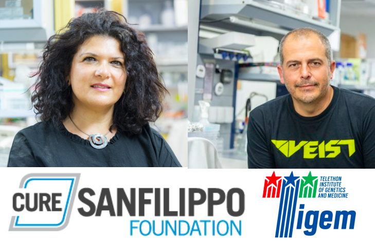 Tigem_Telethon's tweet photo. The @CureSanfilippoF #Advance22 Conference has been underway today and yesterday, two of our @Tigem_Telethon researchers, Elvira de Leonibus @EDeLeonibus and Diego Medina @HCS_Tigem presented their work on how we can better understand and treat this #paediatric disease (1/2) https://t.co/wCYOhz6ycX
