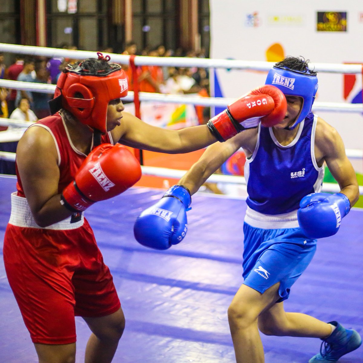 BFI_official's tweet photo. 🆃🅷🆁🅾🆄🅶🅷 🆃🅷🅴 🅻🅴🅽🆂 📸🔥
Some action glimpses from the ongoing 5th Youth Men & Women National Boxing Championship 2022 in Chennai 🥊
#PunchMeinHaiDum
#BoxingNationals
#Boxing https://t.co/77dtaOmxnI