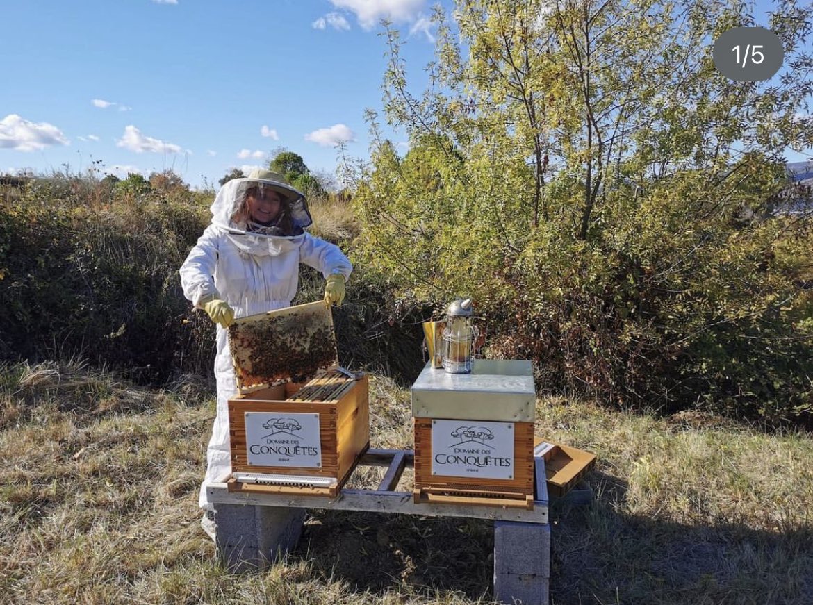 ChaiLesFilles's tweet photo. Quant à Émilie Bourdon elle part à la conquête des abeilles 🐝 avec des ruches en plus de ses vignes au @lesConquetes 🍷 !
#laboxdevinsdevigneronnes de juillet joue sur une cohérence sans failles !
#vin #wine #winelover #womendowine #femmesdevin #vigneronne #womenwinemakers https://t.co/1gnZb3sFxO