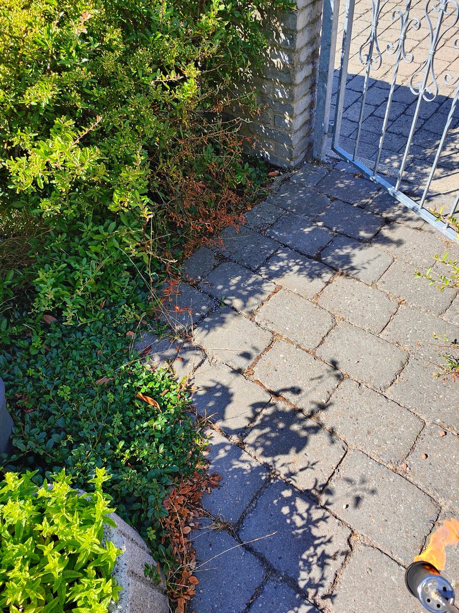 Sascha G. tweet media