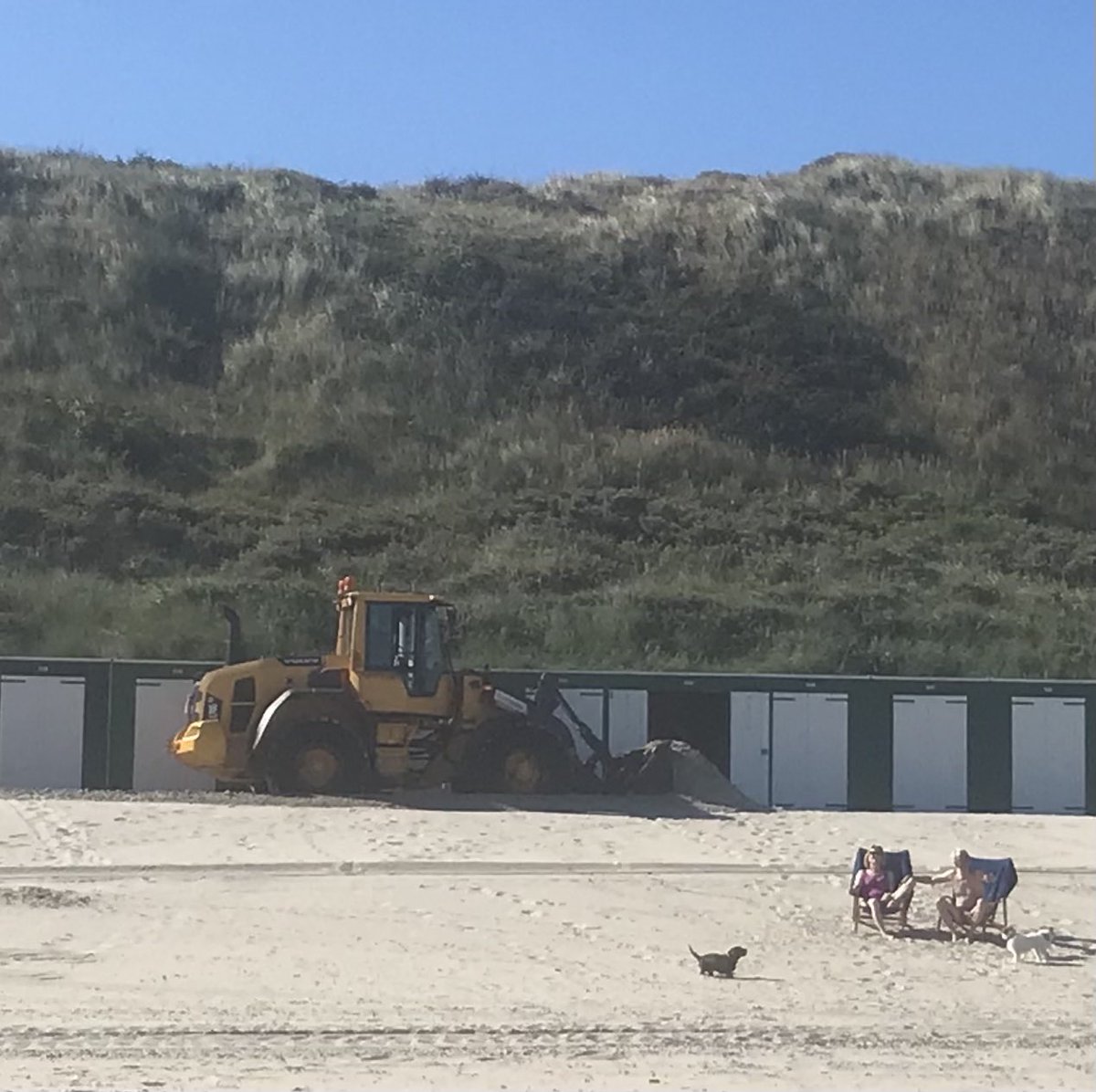 Beestenbus tweet media