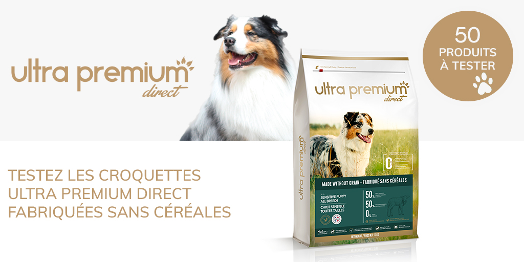 ConsoAnimo's tweet image. En ce moment sur Conso Animo : Nous recherchons 50 profils pour tester gratuitement les croquettes Ultra Premium Direct fabriquées sans céréales 🐕🌱

#consoanimo #testproduit 

consoanimo.com/test/croquette…