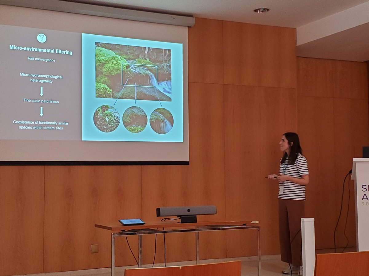 La Piel Viva Del Suelo tweet media