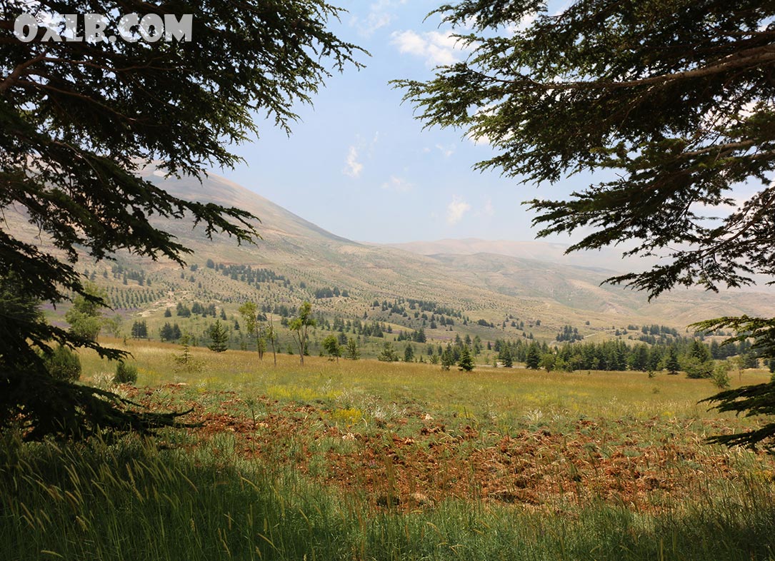 onefineart's tweet photo. Peaceful and beautiful Lebanon... Photos have been taken in Bshari Cedars reserve.
Visit https://t.co/BQIWMwsypk

#lebanon #bshari #lovelebanon #mylebanon #cedaroflebanon #cedarsoflebanon #discoverlebanon #cedarreserve #lebanonphotos #idreamlebanon #لبنان https://t.co/rZEwFliGt5