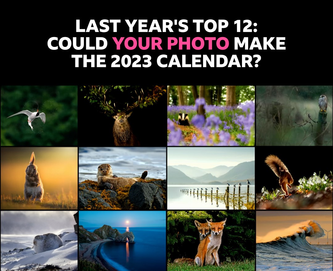 Have you taken any photos in the great outdoors that you’d love to see on the 2023 Countryfile Calendar in aid of Children in Need? This year’s theme is “Wild and Free”. You can submit entries up until 10am on Monday July 11th 2022 – for details go to bbc.co.uk/countryfile