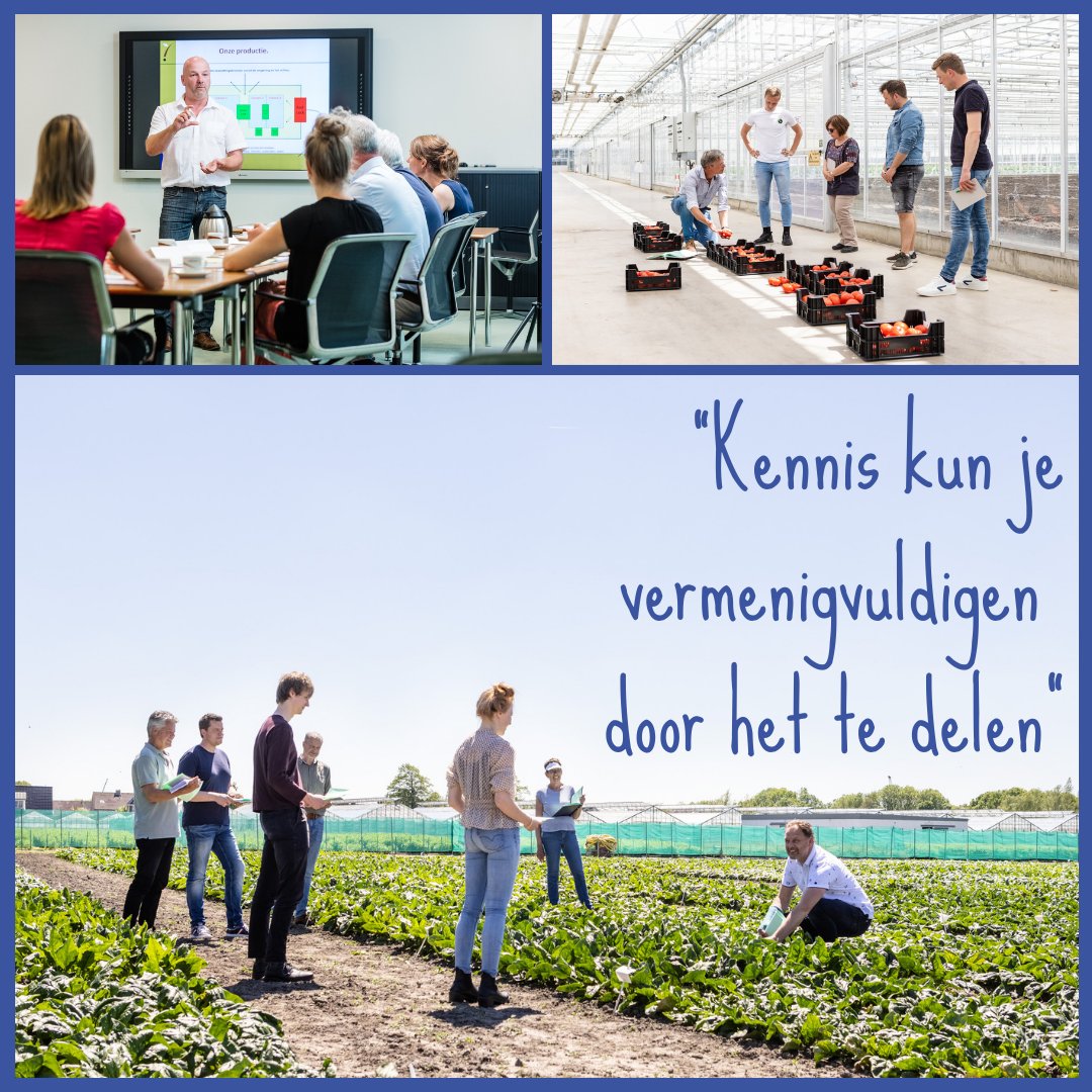 Naktuinbouw's tweet photo. Ben je klant- en resultaatgericht en kun je goed plannen &amp; organiseren? Als medewerker Opleidingen ben je het aanspreekpunt. Je beheert de opleidingsadministratie, lesmateriaal en online leerplatform en zet trainingen en online leertrajecten op. #vacature: https://t.co/VmmdwvKrgZ https://t.co/3dqe4iTqnl