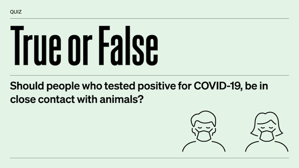 WOAH's tweet photo. True or false? People with 🦠 #COVID19 🦠 should avoid close contact with animals.

Find out the answer here 👉 https://t.co/ruw9Sj4oVz https://t.co/towaiQ0xpT