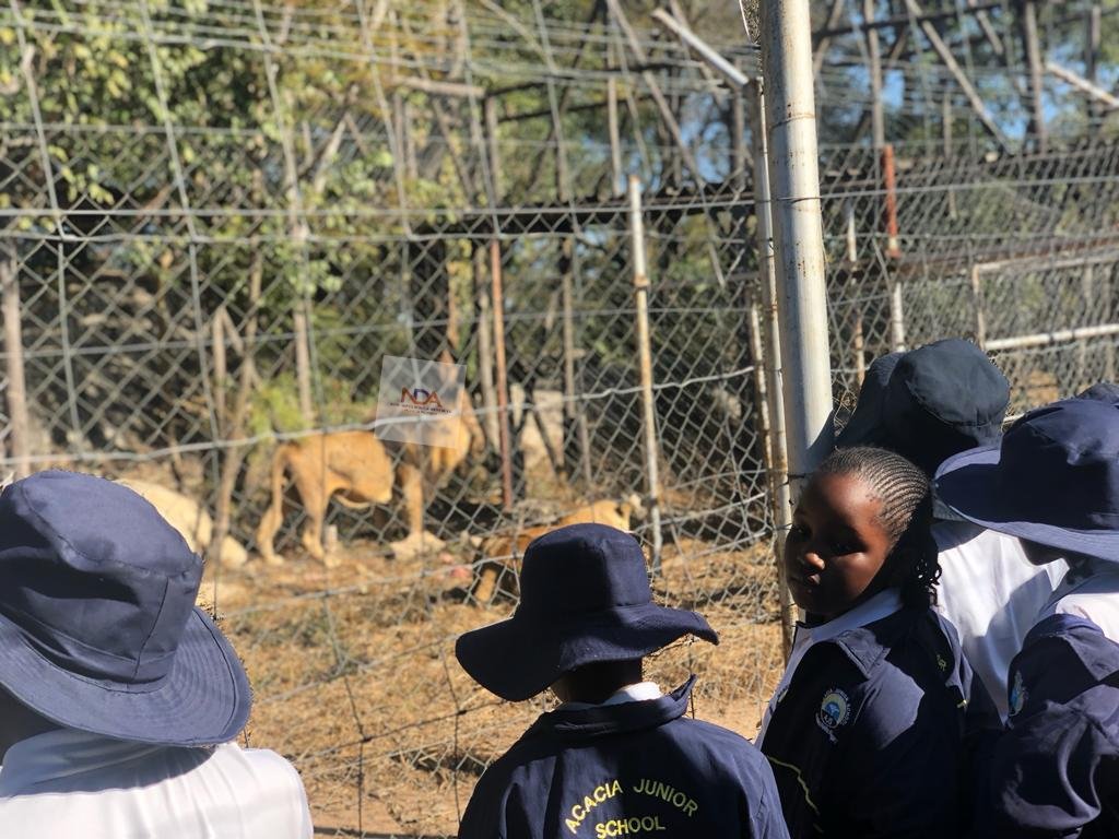 dimentions_new's tweet photo. Yesterday we had 2 trips with Acacia Jnr Sch Grade 5 went to Nyati Eco Game Park and Grade 6 went to theNational Archives, Museum and Heroes Acre.
Great service rendered by us ππ
https://t.co/ltdLD4m2oy
Clients are happy and so are weππ
#exploringtheunseen
@teambuildingbae https://t.co/tdiA4nXCEh