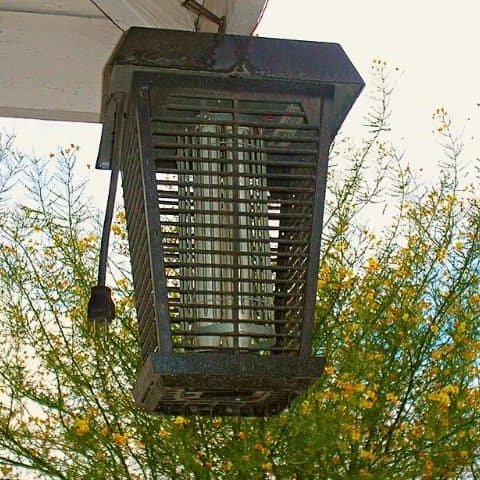 MumsDelivery's tweet image. Let’s have a look into why your fur babies may not like the bug zapper and how to help them through panic attacks.

mumsdelivery.com.au/why-does-my-do…

#bugzapper #dogshate #dogshearing #dogpanic #calmingyourdog #howtocalmadog #dogfear #bugzappers