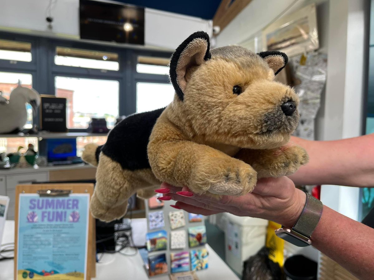 #LostAndFound - this cute puppy 🐶 toy was found on #NorthBerwick beach and handed into the Seabird Centre. Our team will care for it until its owner is found.