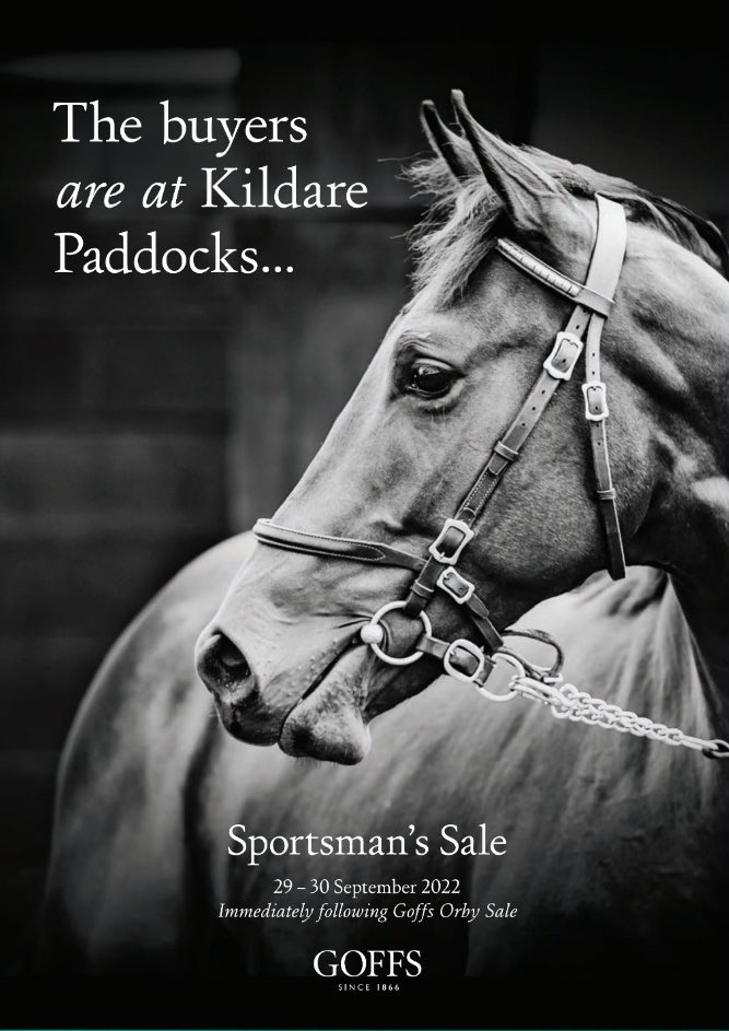 Entry deadline is 5PM 𝐓𝐎𝐃𝐀𝐘 for Sportsman’s Sale entries! 

📈91% clearance
📈6 figure top prices
📈€100,000 Sportsman’s Challenge Race buyer incentive 

#GoffsSportsmans | Sept 29-30

Entries 👉 bit.ly/3Ay9POO