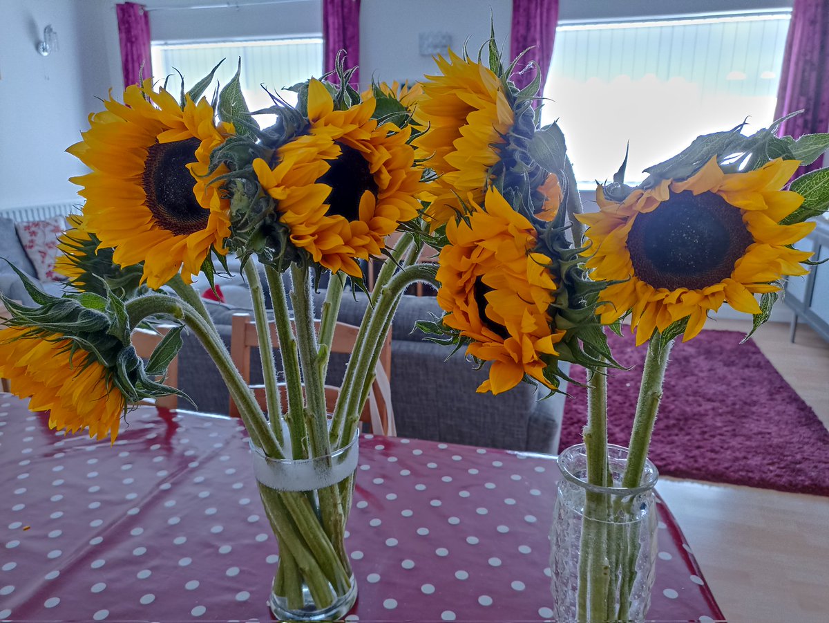 Lovely sunny flowers from the great team at <a href="/hearingnihr/">Nottingham Biomedical Research Centre, Hearing</a>. Thank you all!❤️🤗❤️🤗