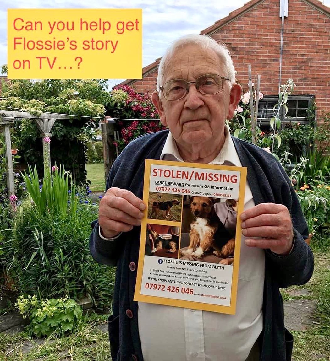 FindFlossie's tweet photo. This is my Dad. He's 91. He asked me what else he could do to help find our little dog @RachelRileyRR Could you please help us share, could we get Flossie's story on TV? #FindFlossie Missing from #Northumberland #mathsgeek #PetTheftReform https://t.co/vSKne3EVav @FindFlossie https://t.co/Fm7d80a0qY