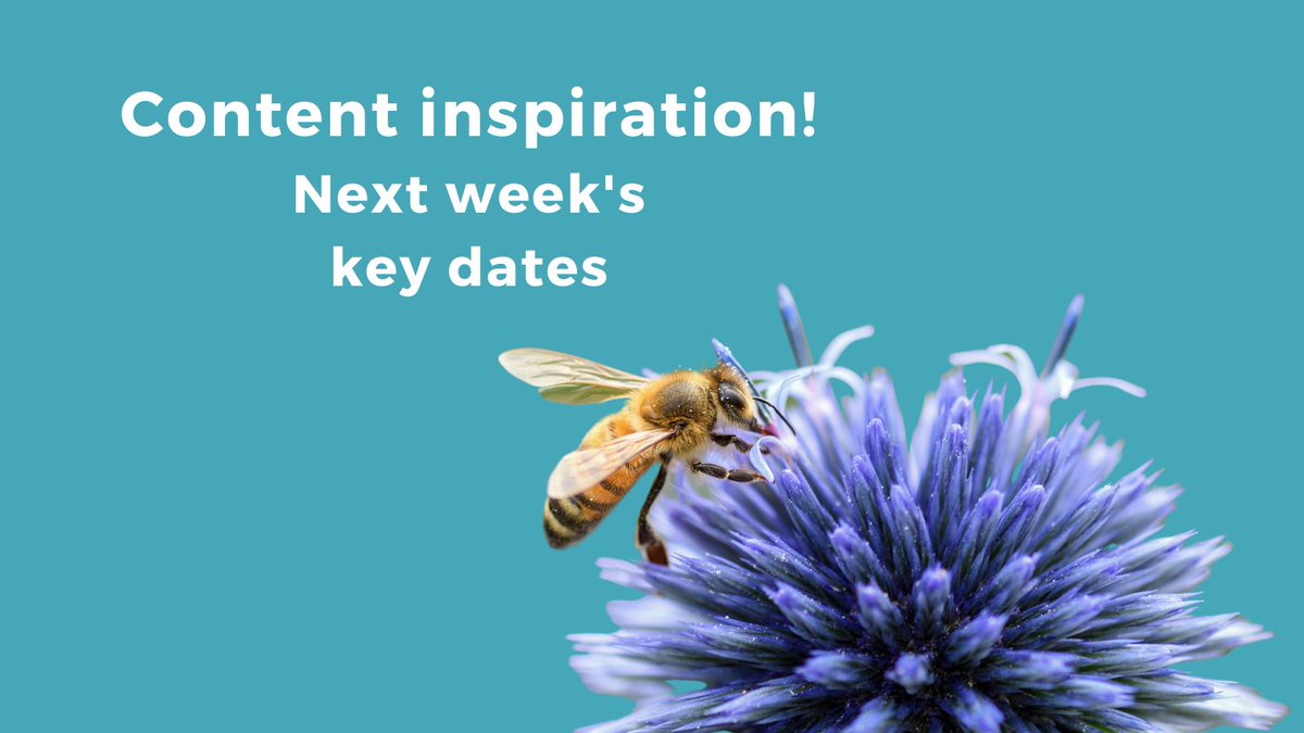 Some useful upcoming key dates and national days to inspire your #content in the next week. Enjoy! #contentinspiration #pr #socialmedia  fdpr.co.uk/2022/07/conten…